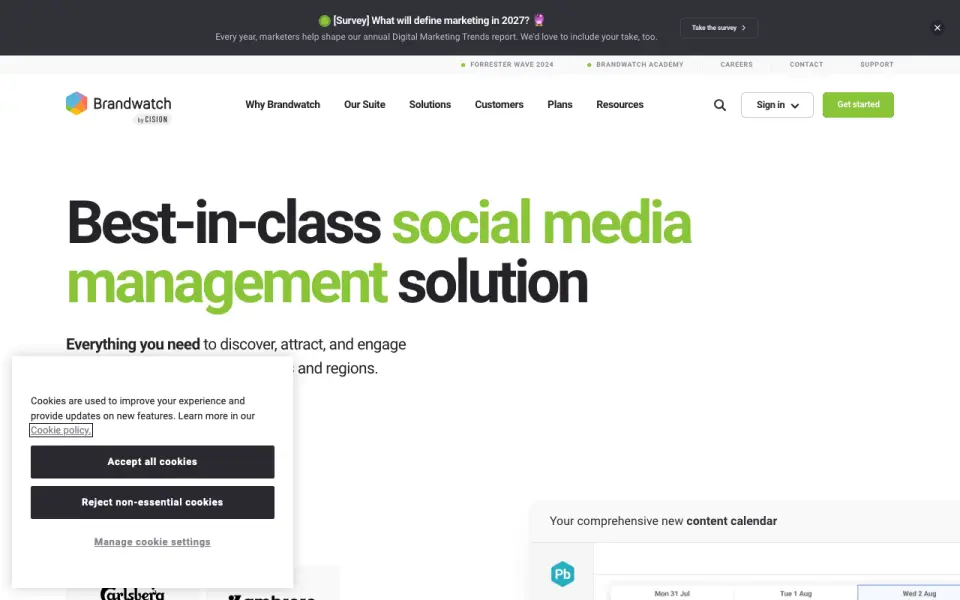 Brandwatch Listen's own site