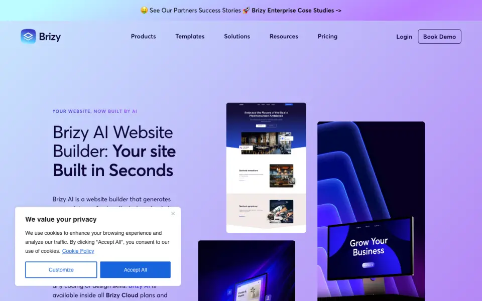 Brizy's own site
