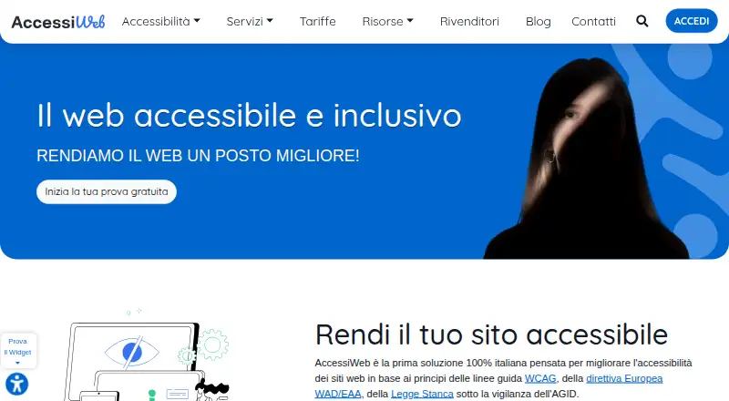 AccessiWeb's own site