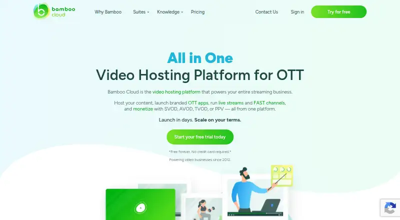 Bamboo Cloud's own site