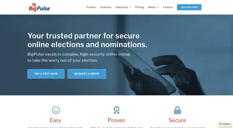 BigPulse's own site