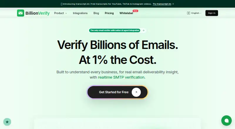 BillionVerify's own site