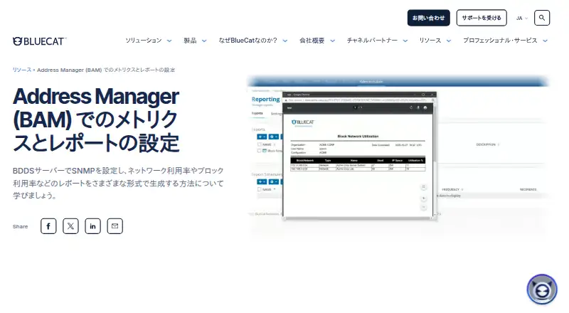 BlueCat Address Manager's own site