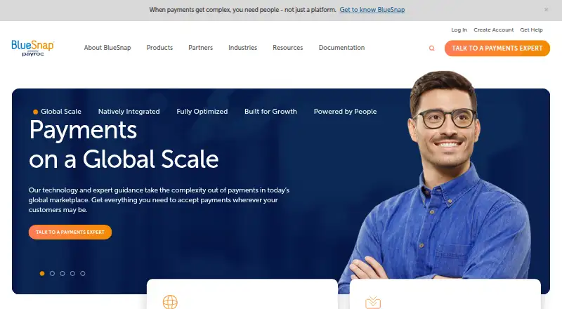 BlueSnap's own site