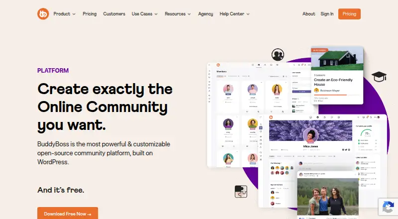 BuddyBoss Platform's own site
