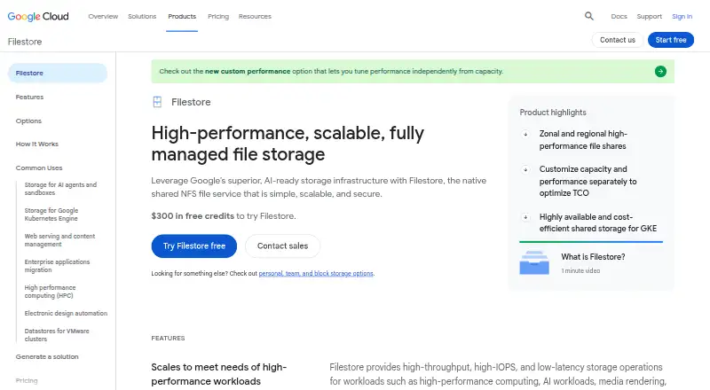 Google Cloud Filestore's own site
