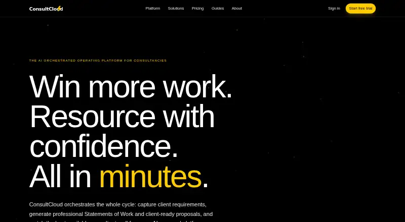 ConsultCloud's own site