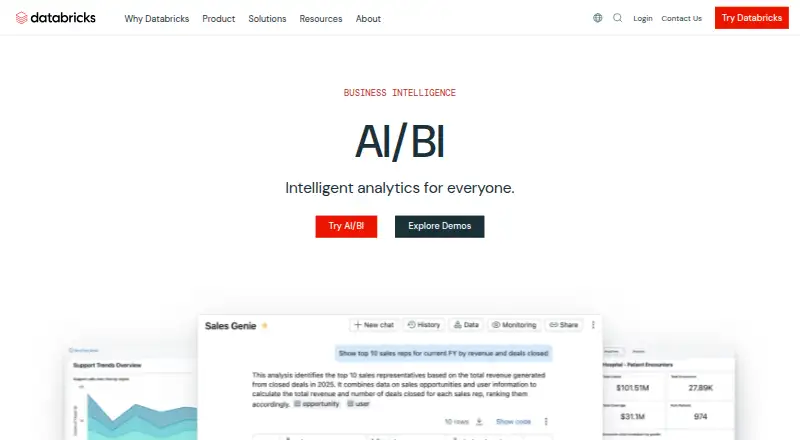 Databricks AI/BI's own site