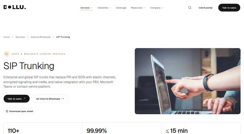 Dollu SIP Trunking's own site