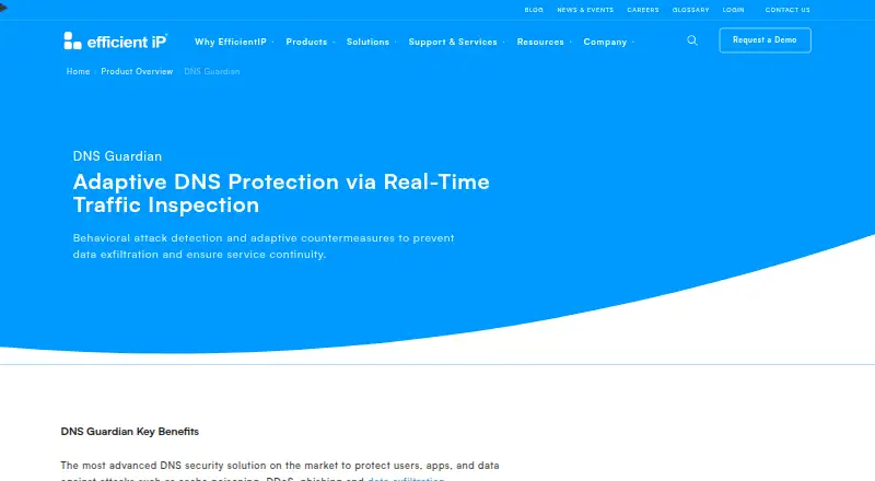 EfficientIP DNS Guardian's own site