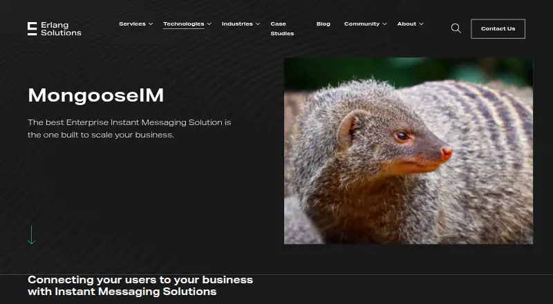 MongooseIM's own site