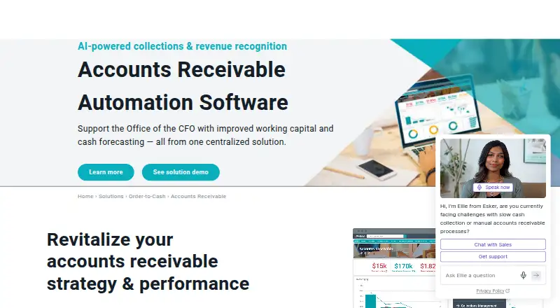 Esker Accounts Receivable's own site