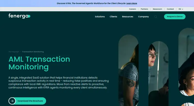 Fenergo Transaction Monitoring's own site