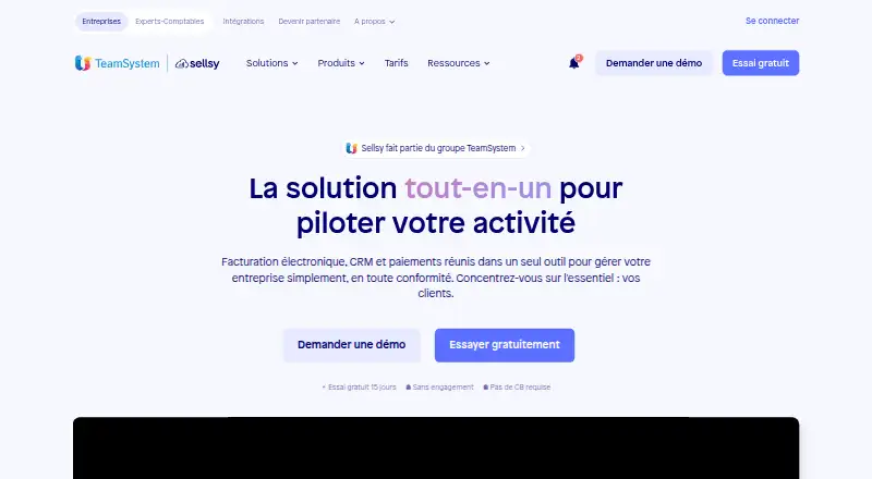 Sellsy's own site