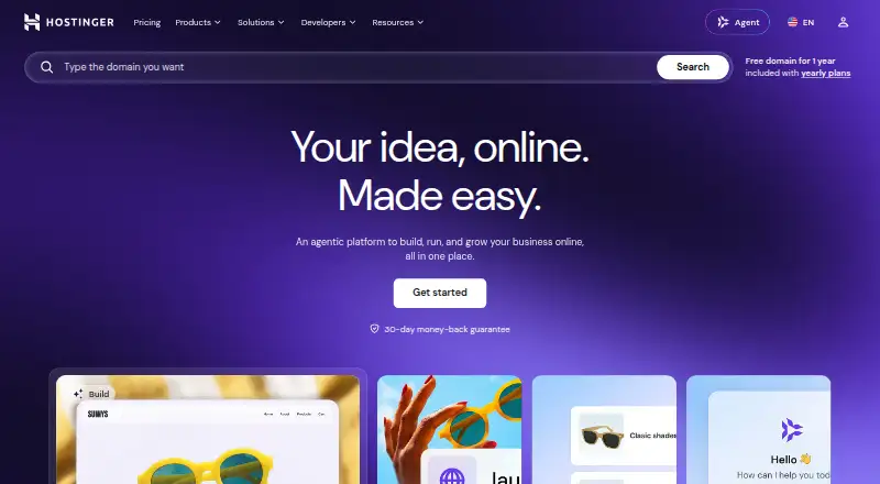 Hostinger's own site