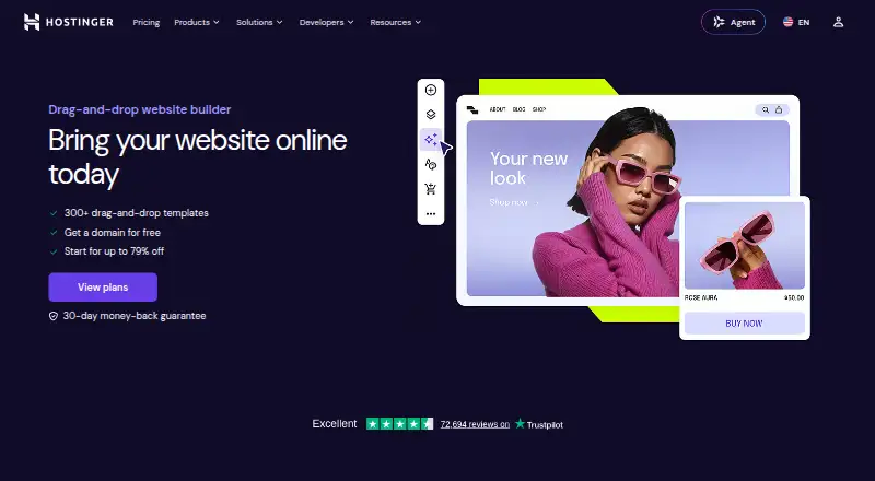 Hostinger Website Builder's own site
