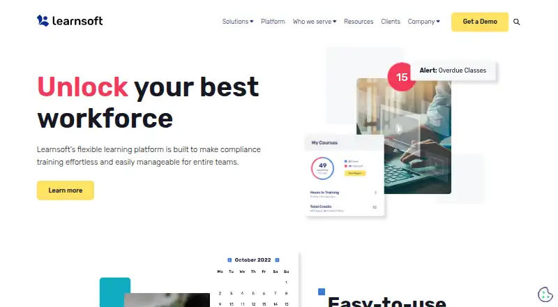 Learnsoft's own site