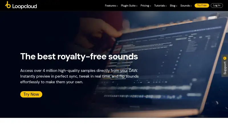 Loopcloud's own site