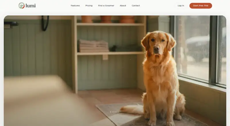 Lumi's own site