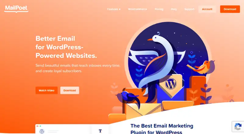 MailPoet's own site