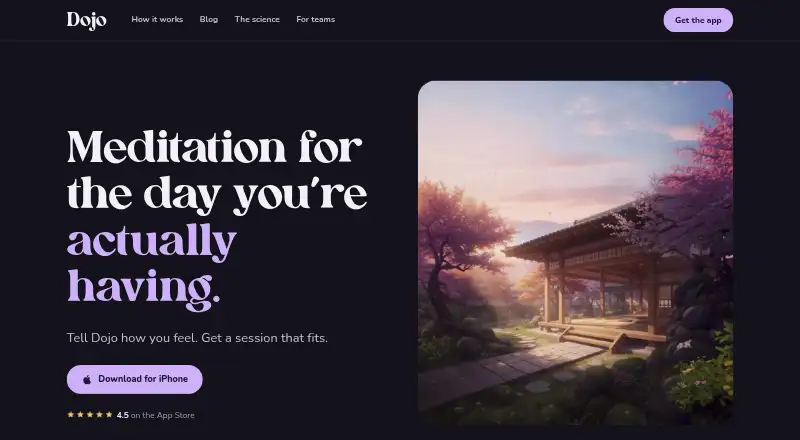 Dojo's own site