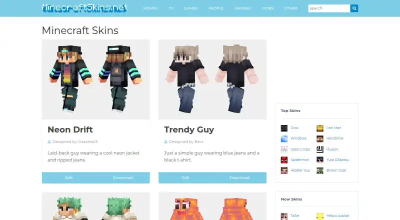 MinecraftSkins.net's own site