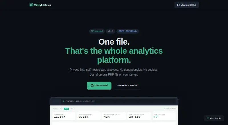 MintyMetrics's own site