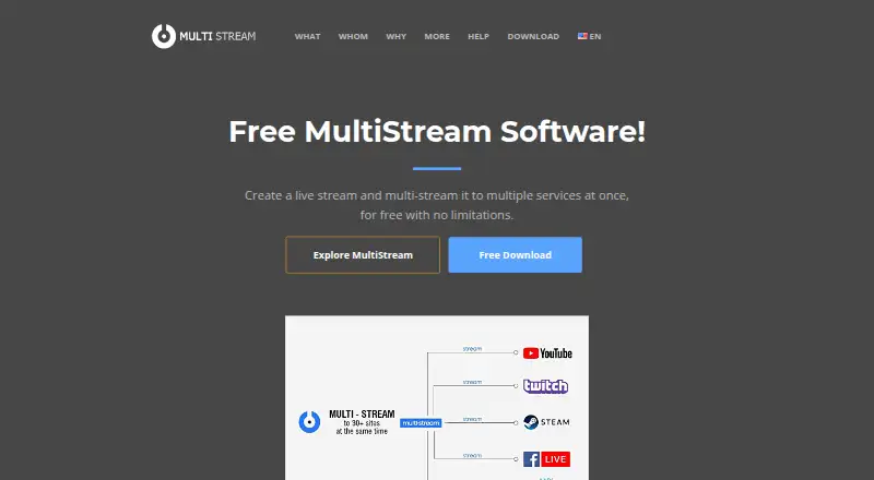 MultiStream's own site