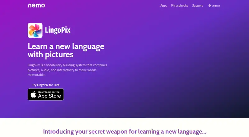 LingoPix's own site