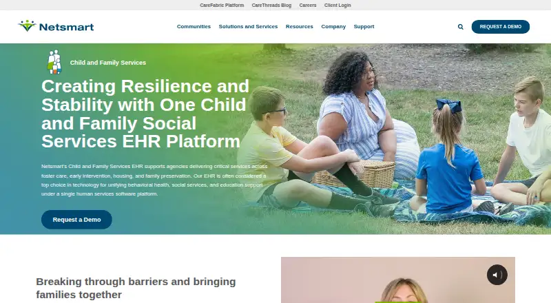 Netsmart Human Services's own site