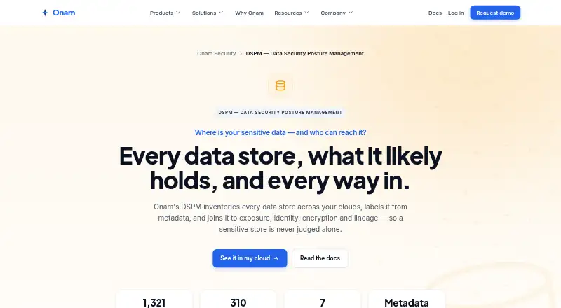 Onam Security DSPM's own site