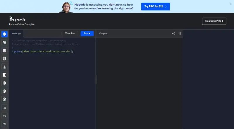 Programiz Online Compiler's own site