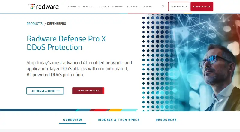 Radware DefensePro's own site