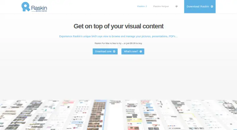 Raskin's own site
