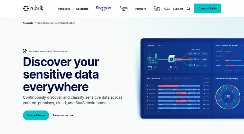 Rubrik Data Discovery and Classification's own site