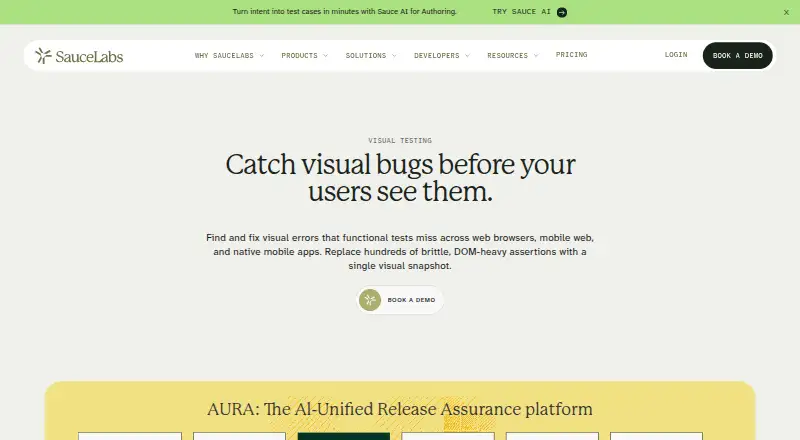 Sauce Visual's own site