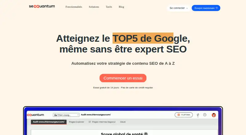 SEOQuantum's own site