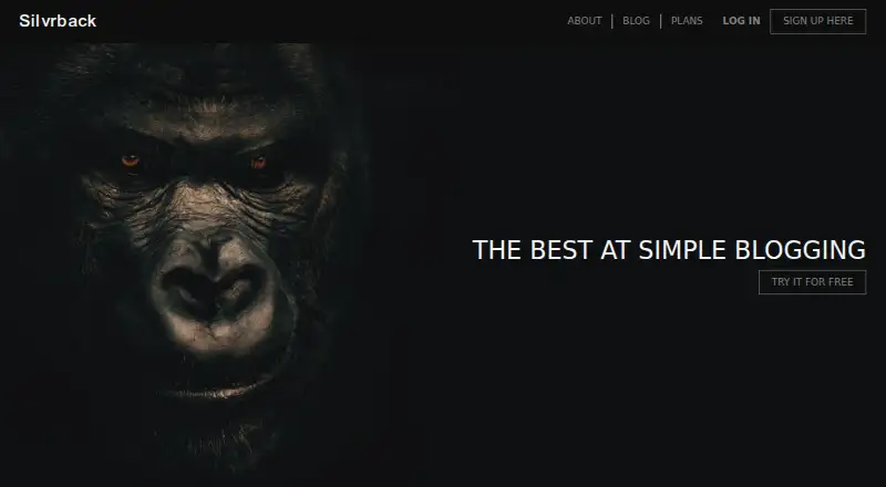 Silvrback's own site