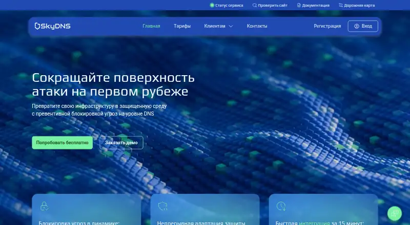 SkyDNS's own site