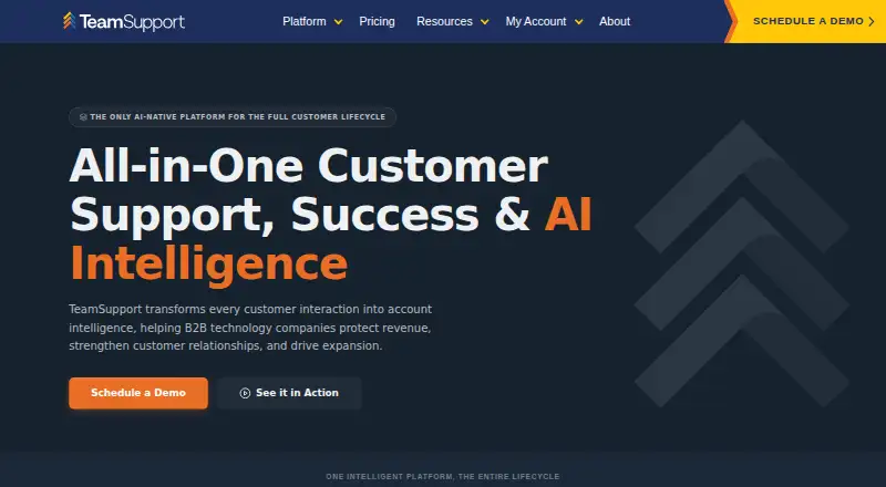 TeamSupport's own site