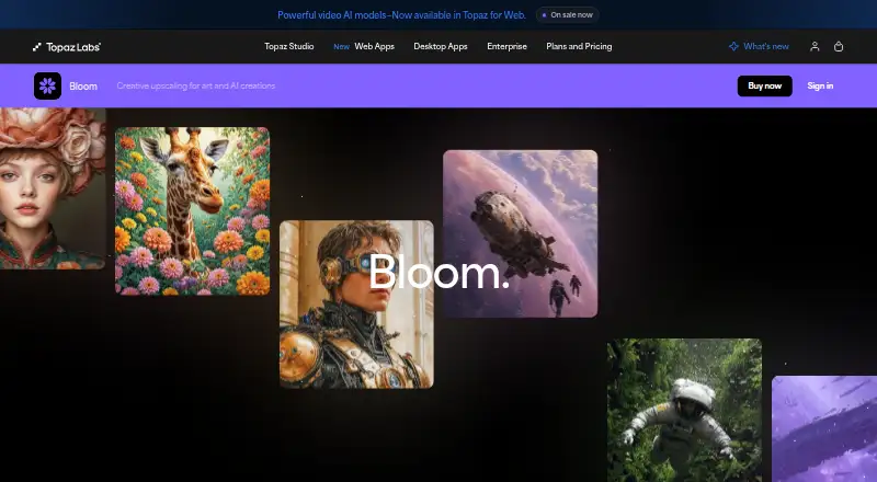 Bloom's own site