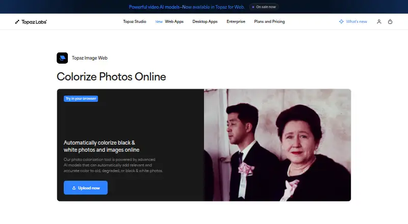 Topaz Labs Photo Colorizer's own site