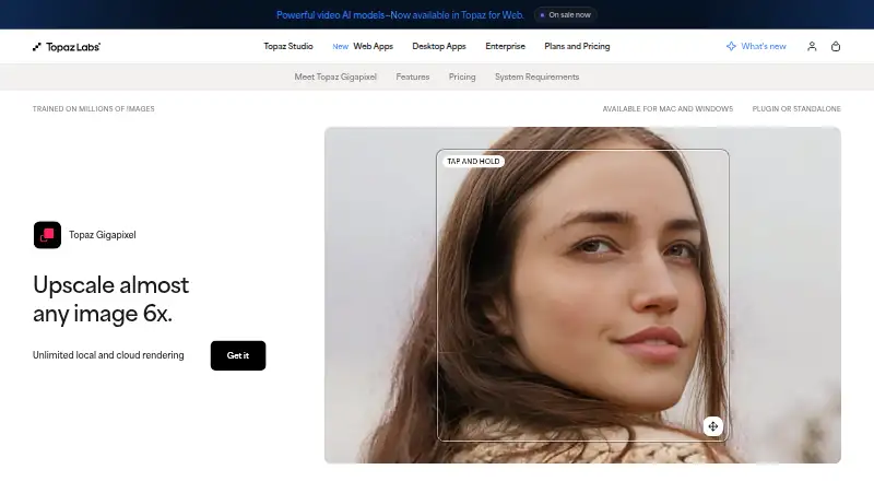 Topaz Gigapixel's own site