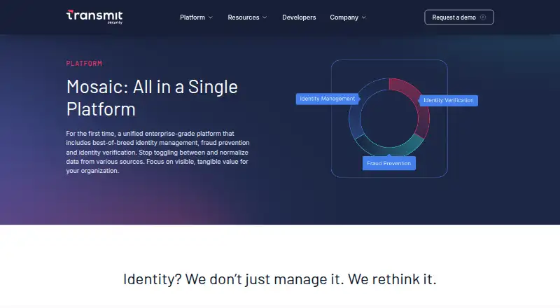 Transmit Security Mosaic's own site