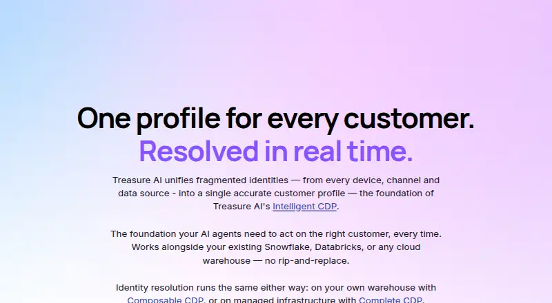 Treasure AI Identity Resolution's own site