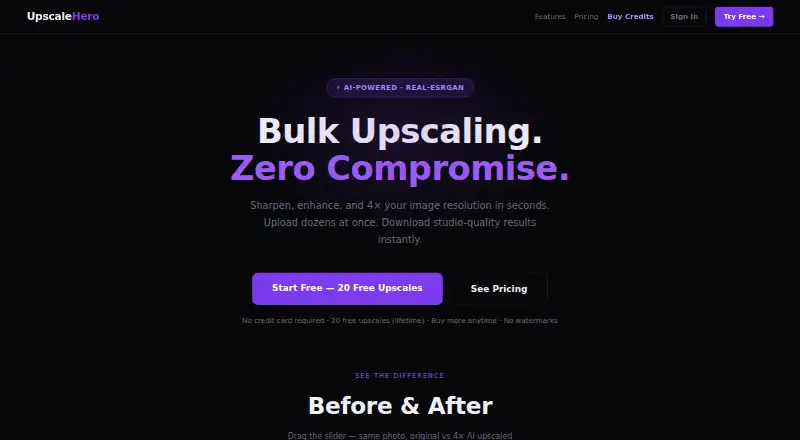 UpscaleHero's own site