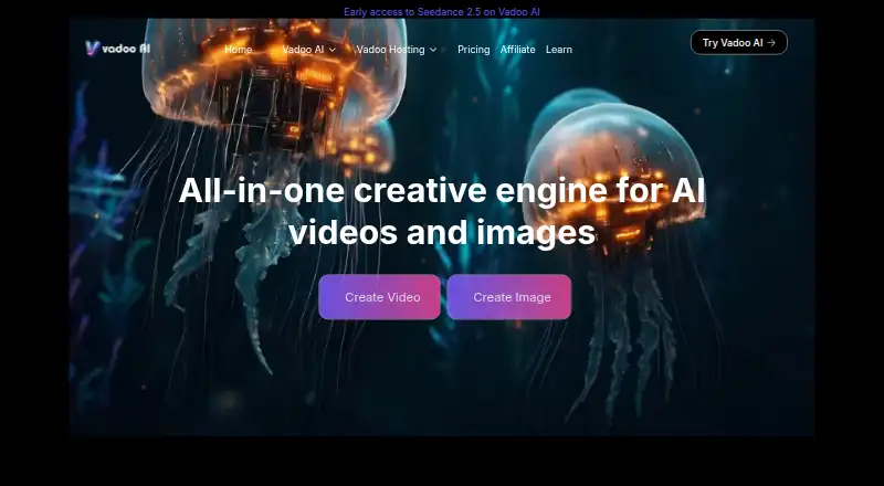 Vadoo.tv's own site