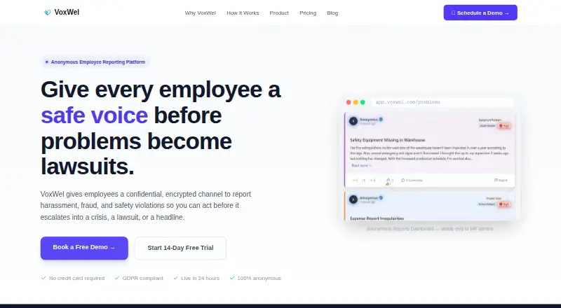 VoxWel's own site