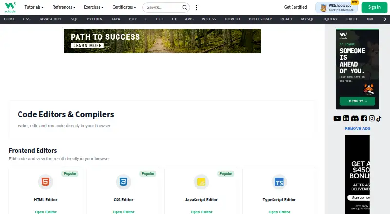 W3Schools Tryit Editor's own site