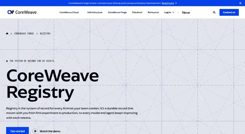 W&B Registry's own site